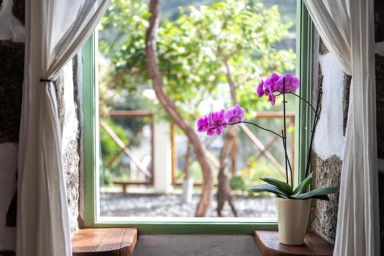 Casa Rural Bejeque Teror Holiday home