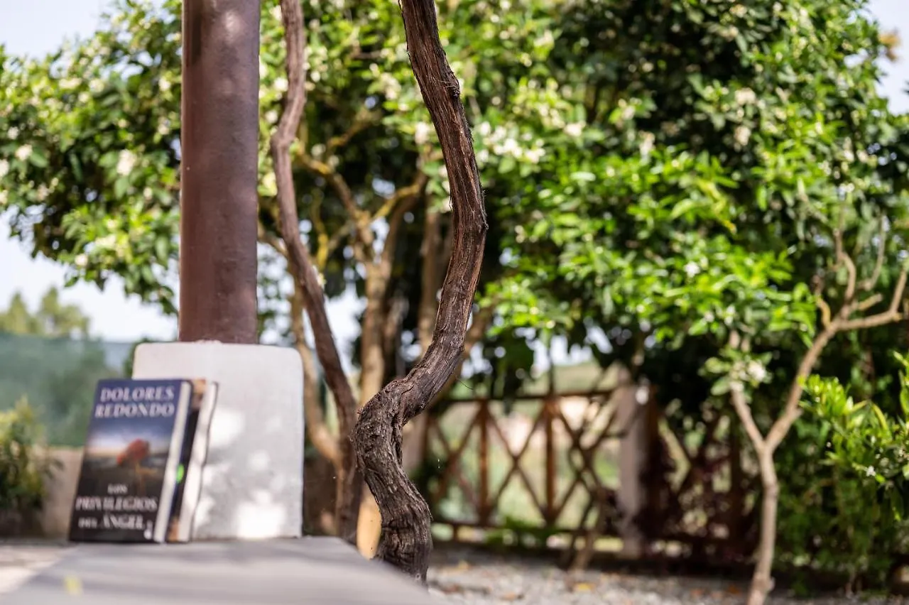Casa Rural Bejeque Teror Holiday home